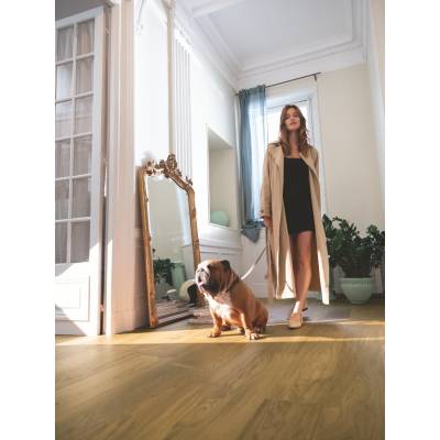 QUICK-STEP Dąb brązowy Ekstra 400096899 13 mm