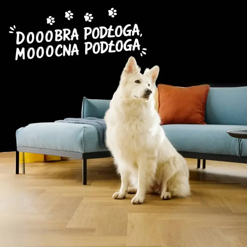 Panele winylowe SPC LVT Jodełka Dąb Empire CAS 226 5 mm, 5