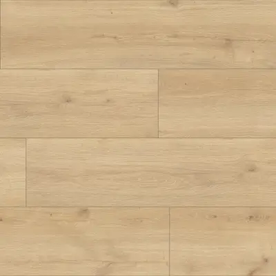 Panele podłogowe Hayden XL AC5 8 mm, 56192Large