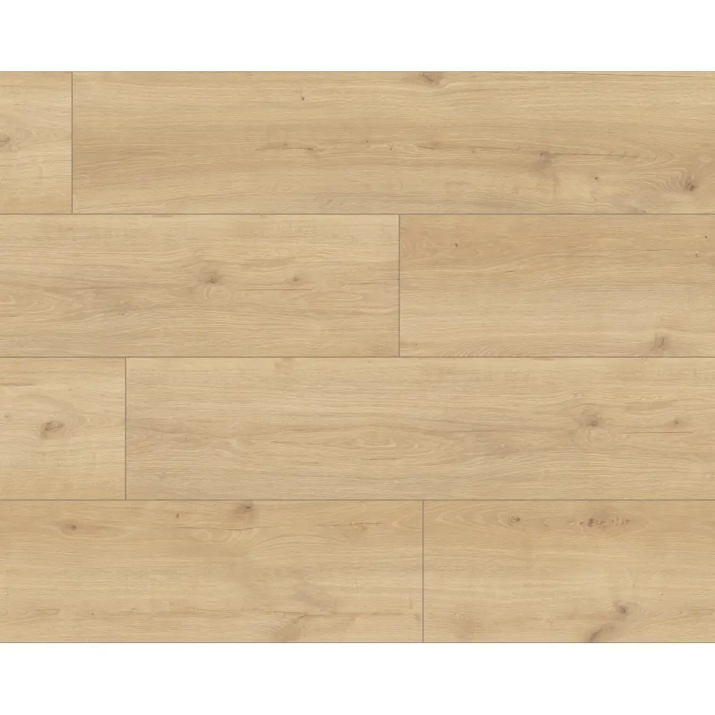 Panele podłogowe Hayden XL AC5 8 mm, 56192Large