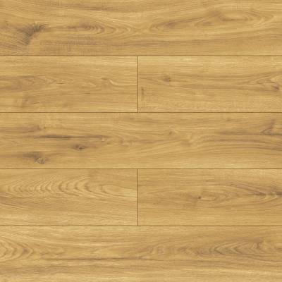 Panele podłogowe Dąb Tramonta D40424 AC5 8 mm, 91BB-40424