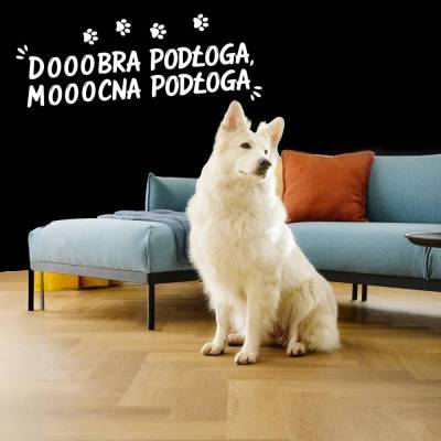 Panele winylowe SPC Jodełka Dąb Virgin CAS 227 Klasa 33 5 mm, 5905167873908