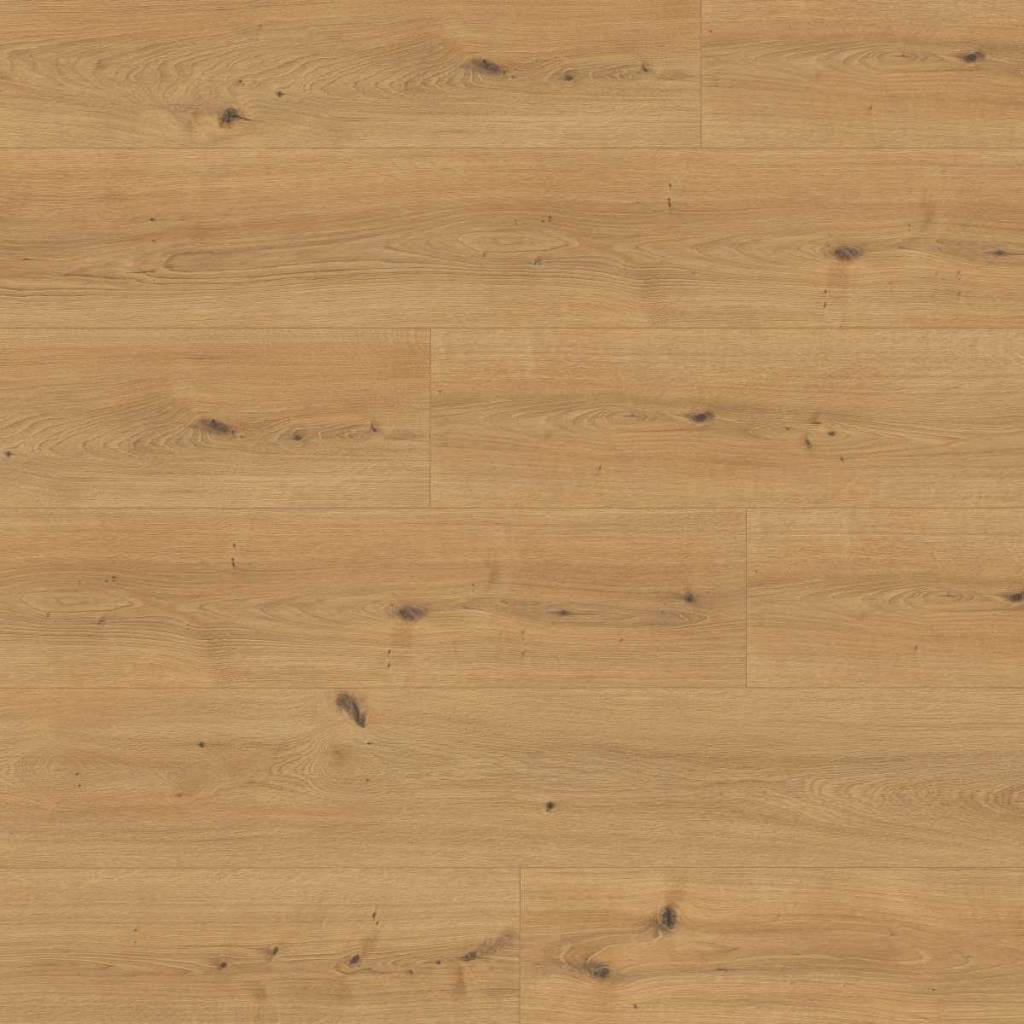 Panele podłogowe Dąb Cadiz miodowy EL2137 AC5 10 mm, 1790659