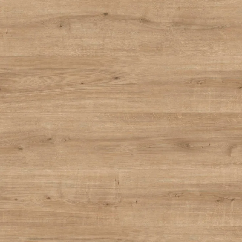 Panele podłogowe Dąb Ortega EL2093 AC4 8 mm, 1787940 - 5