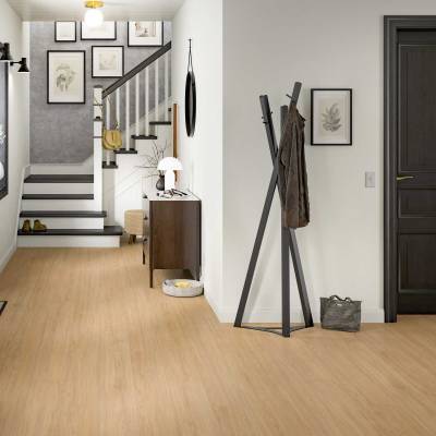 Panele podłogowe Dąb Casella naturalny EL2152 AC4 8 mm, 1787954