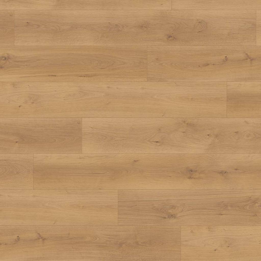 Panele podłogowe Dąb Pinot miodowy EL2114 AC5 8 mm, 1789895