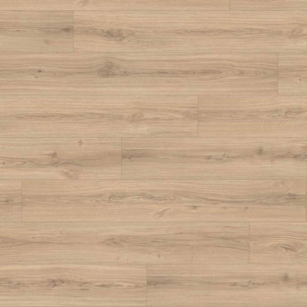 Panele podłogowe Dąb Padua naturalny EL2171 AC5 8 mm, 1789930