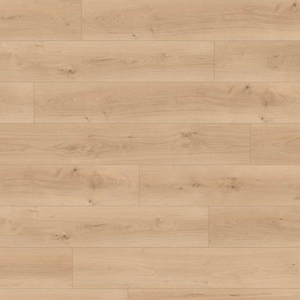 Panele podłogowe Dąb Pinot piaskowy EL2113 AC5 8 mm, 1789916