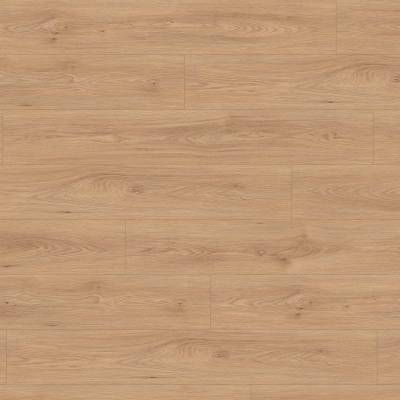 Panele podłogowe Jesion Avio naturalny EL2242 AC5 8 mm, 1784340