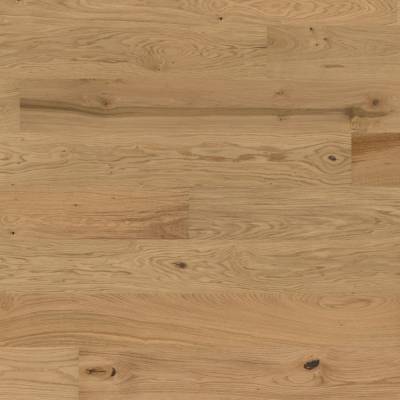 Dąb Aster 131248200 13 mm