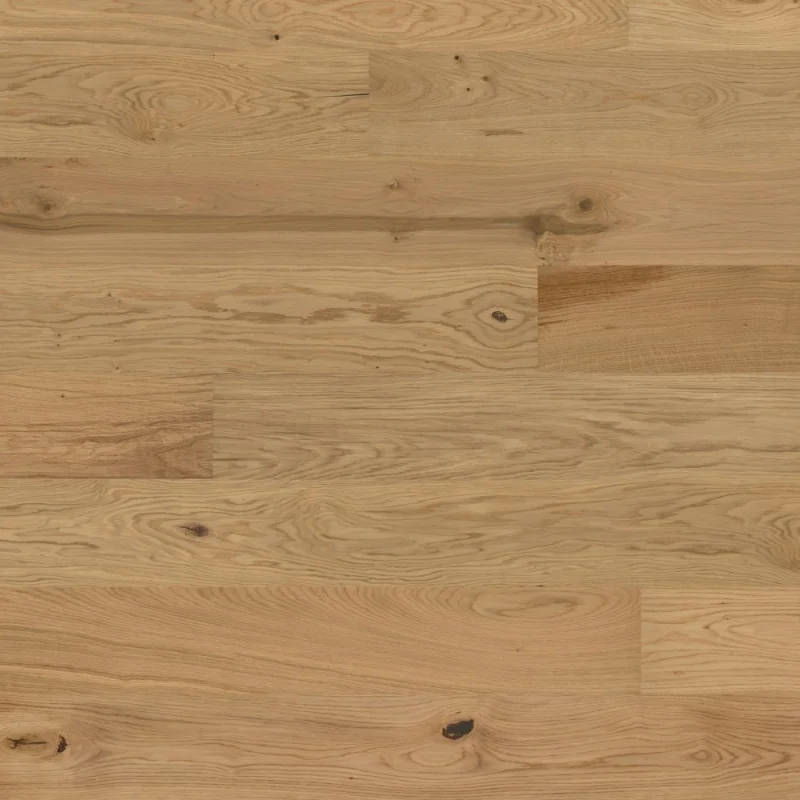 Dąb Aster 131248200 13 mm - 3