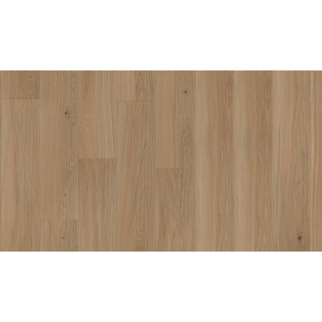 Dąb Auster Lively 78617 10.3 mm