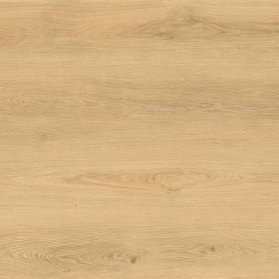 Panele winylowe SPC ze zintegrowanym podkładem Euphoria PAN000350 Klasa 34 6 mm Panele winylowe SPC ze zintegrowanym podkładem Euphoria PAN000350 Klasa 34 6 mm