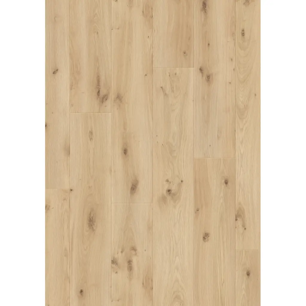 Panele podłogowe Serenita 777384 AC5 8 mm, 400107622