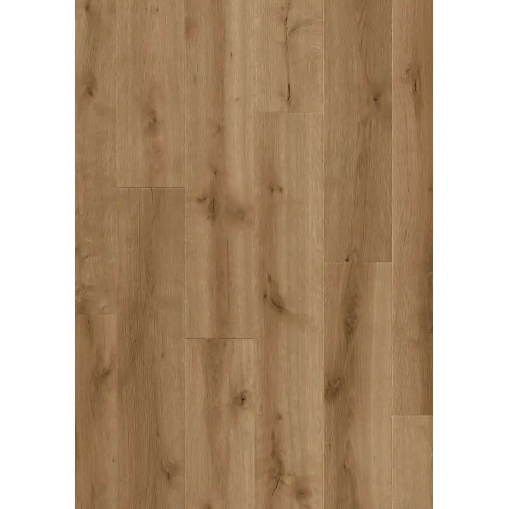 Panele podłogowe Speranza  777390 AC5 8 mm, 400107628