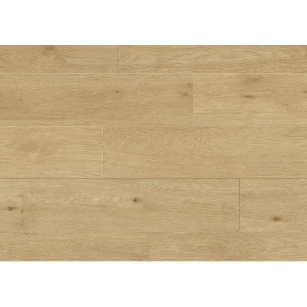 Panele podłogowe Paura 777376 AC5 8 mm, 400107637