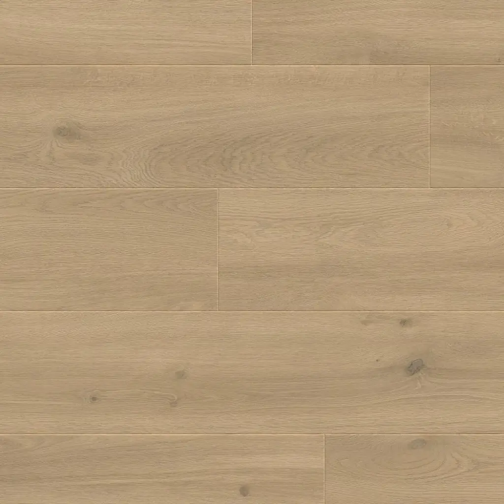 Panele podłogowe Sogno 777382 AC5 8 mm, 400107643
