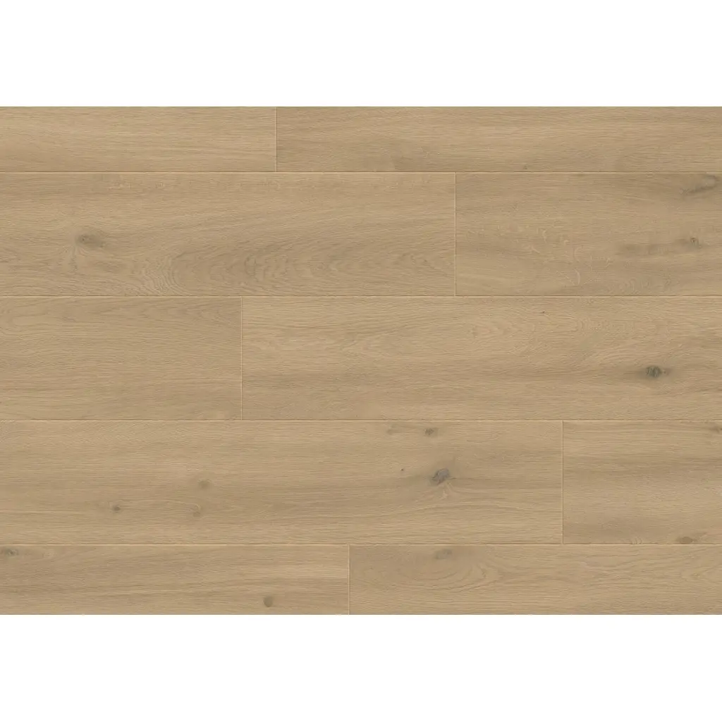 Panele podłogowe Sogno 777382 AC5 8 mm, 400107643