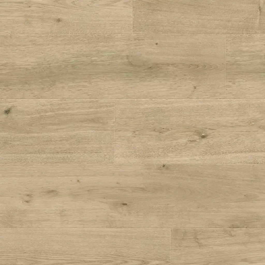 Panele podłogowe Nostalgia 777383 AC5 8 mm, 400107644