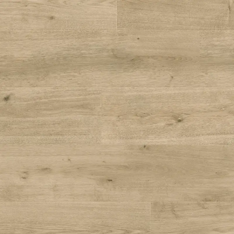 Panele podłogowe Nostalgia 777383 AC5 8 mm, 400107644