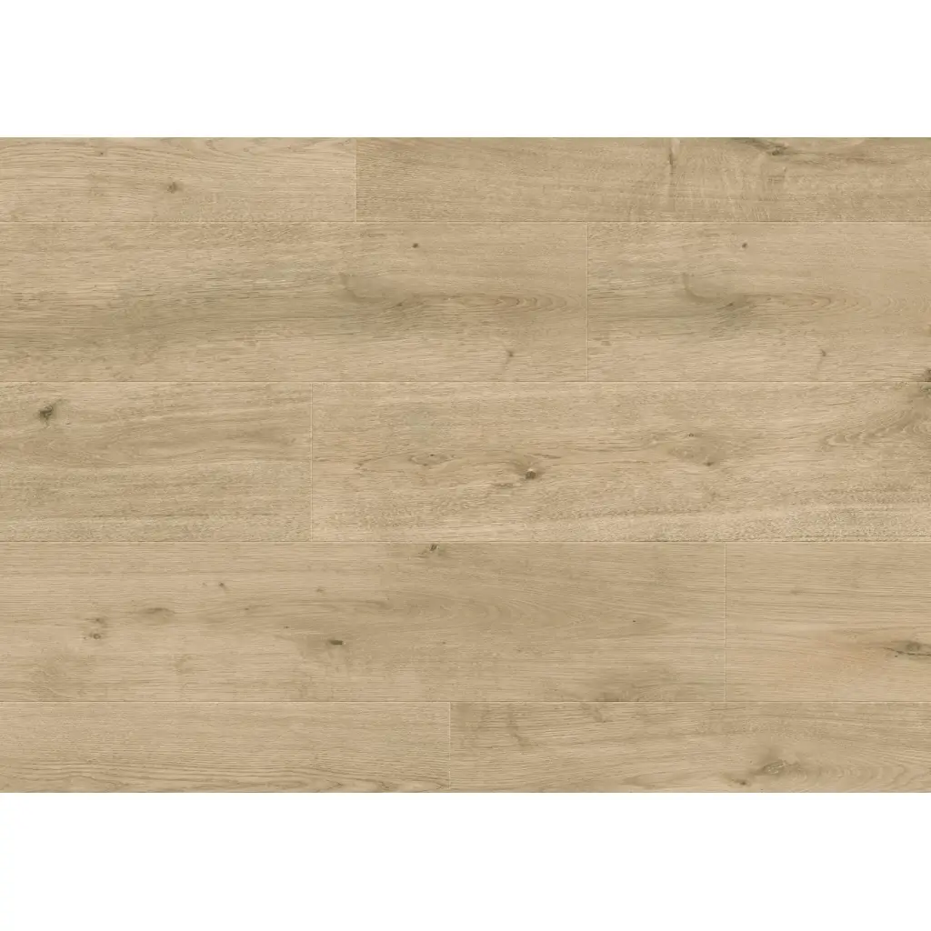 Panele podłogowe Nostalgia 777383 AC5 8 mm, 400107644