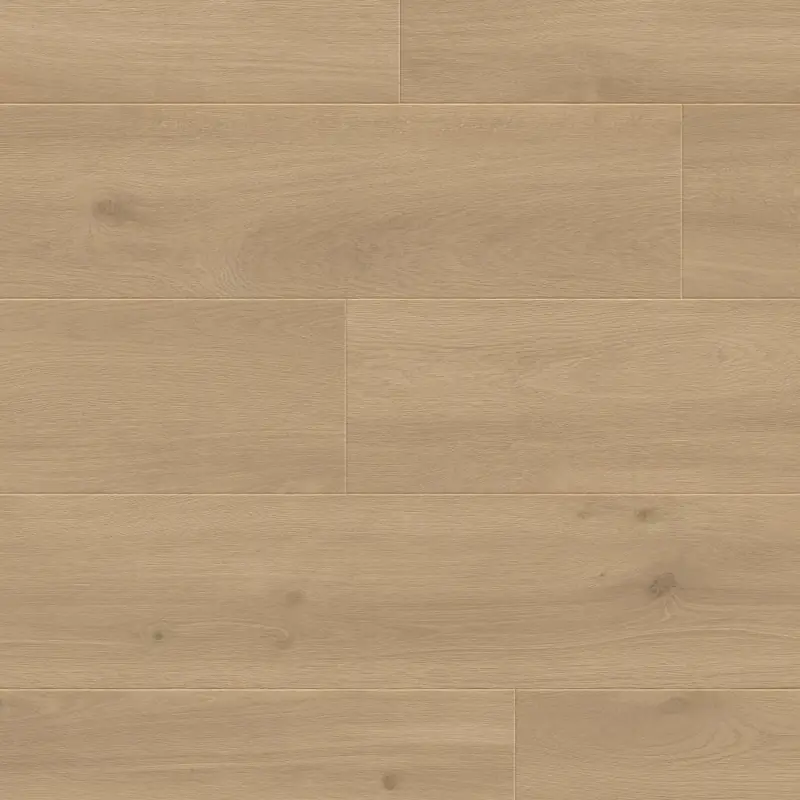 Panele podłogowe Felicita 777378 AC5 8 mm, 400107639