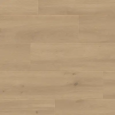 Panele podłogowe Felicita 777378 AC5 8 mm, 400107639