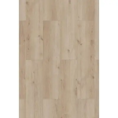 Panele podłogowe Sonolta XL  AC5 8 mm, 56195Large