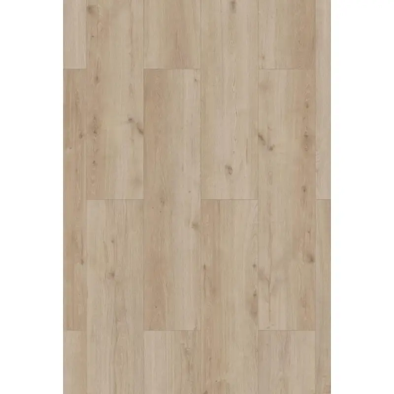 Panele podłogowe Sonolta XL  AC5 8 mm, 56195Large - 2